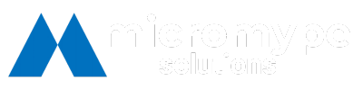 MicroMype Solutions